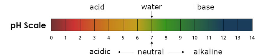 The Role of pH in Reflux – Refluxgate